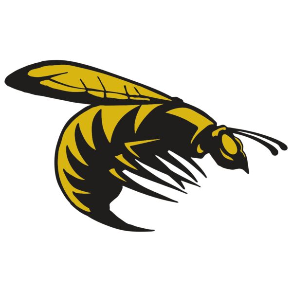 AR BEE 49 RC Thumbnail