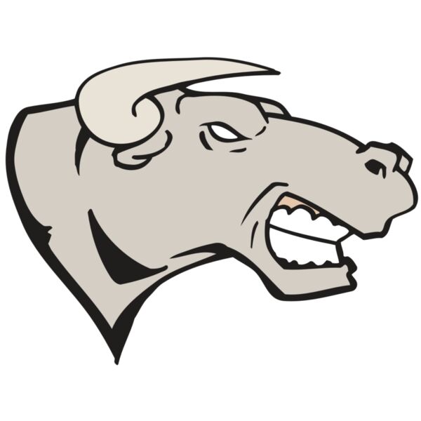 AR BULL 18 RC Thumbnail